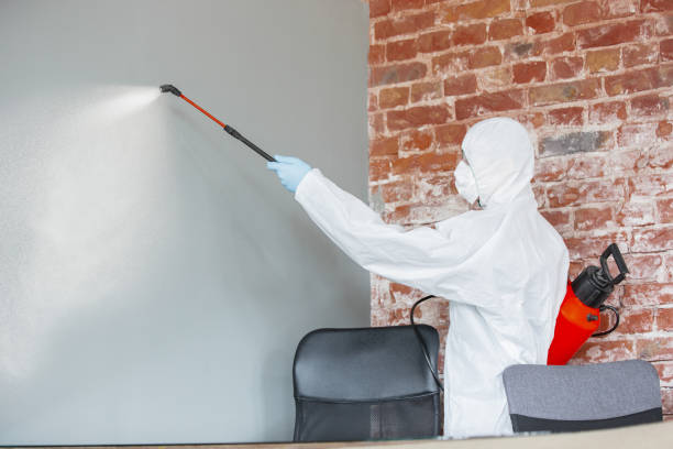 Pine Hill, NJ Mold Removal Company