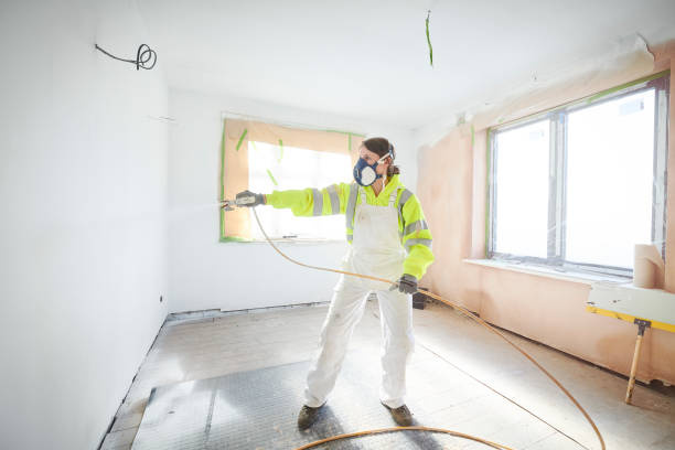 Best Crawl Space Mold Remediation  in Pine Hill, NJ