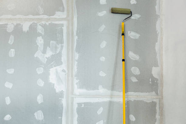 Best Attic Mold Removal  in Pine Hill, NJ