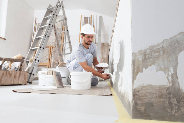 Best Mold Odor Removal Services  in Pine Hill, NJ