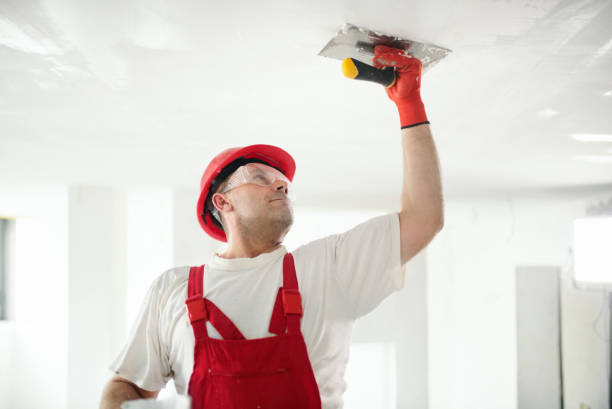 Best Environmental Consulting for Mold Prevention  in Pine Hill, NJ