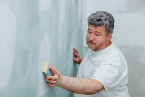 Best Mold Documentation for Insurance Claims  in Pine Hill, NJ