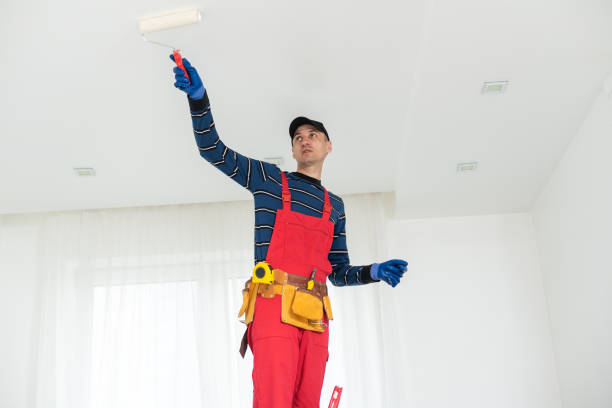 Best Biohazard Mold Removal  in Pine Hill, NJ