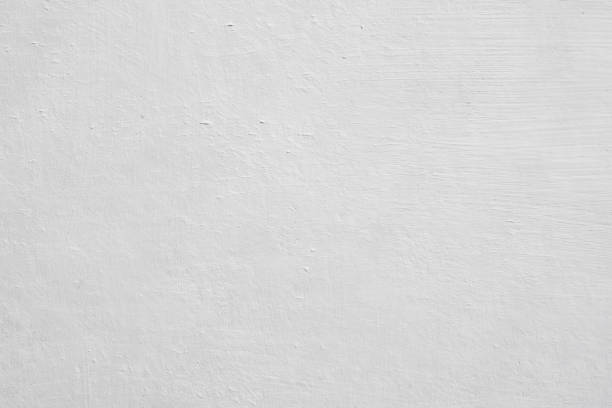 Best Black Mold Removal  in Pine Hill, NJ